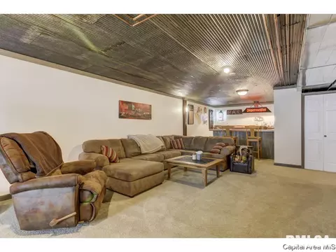 529 Willows Ave, Chatham, IL 62629 photo 29
