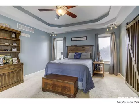 529 Willows Ave, Chatham, IL 62629 photo 20