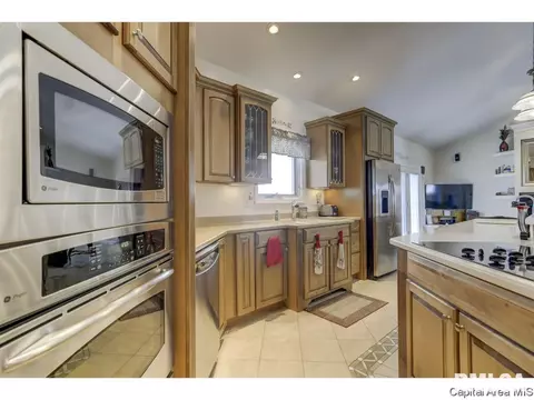 529 Willows Ave, Chatham, IL 62629 photo 9