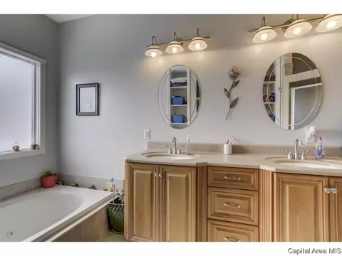 529 Willows Ave, Chatham, IL 62629 photo 22