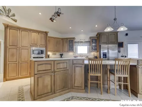 529 Willows Ave, Chatham, IL 62629 photo 11
