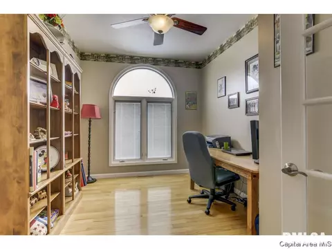 529 Willows Ave, Chatham, IL 62629 photo 12
