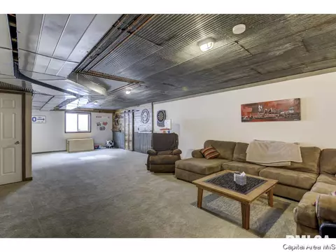 529 Willows Ave, Chatham, IL 62629 photo 30