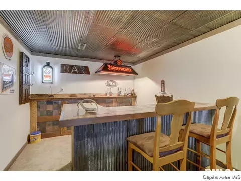529 Willows Ave, Chatham, IL 62629 photo 31