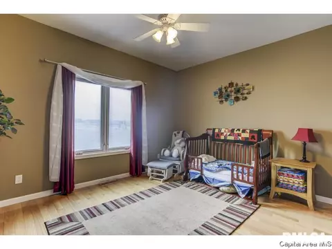 529 Willows Ave, Chatham, IL 62629 photo 23