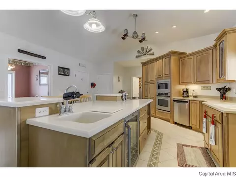 529 Willows Ave, Chatham, IL 62629 photo 8