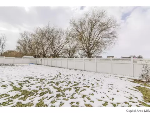 529 Willows Ave, Chatham, IL 62629 photo 36