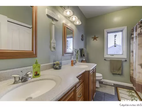 529 Willows Ave, Chatham, IL 62629 photo 26