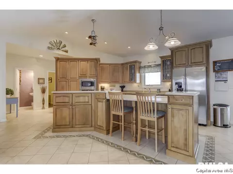 529 Willows Ave, Chatham, IL 62629 photo 7