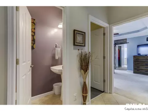 529 Willows Ave, Chatham, IL 62629 photo 17