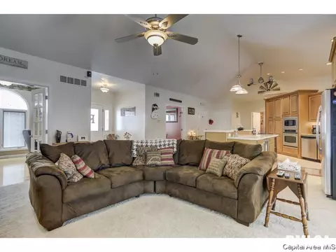 529 Willows Ave, Chatham, IL 62629 photo 6