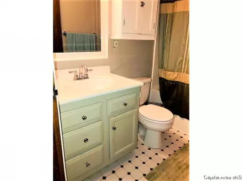 2327 S 1st Street St, Springfield, IL 62704 photo 15