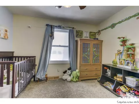 3216 Haviland Dr, Springfield, IL 62704 photo 17