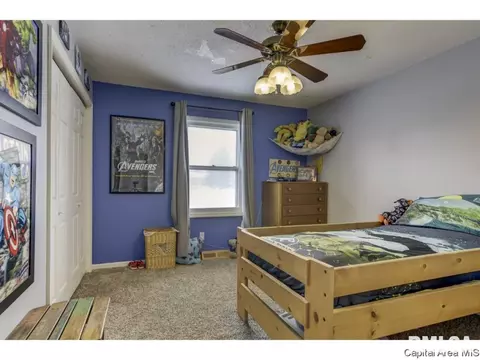 3216 Haviland Dr, Springfield, IL 62704 photo 20