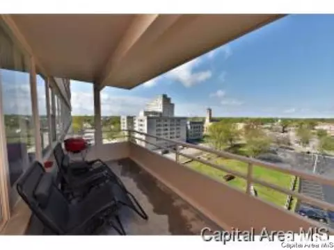 718 S 7th UNIT 904, Springfield, IL 62703 photo 11