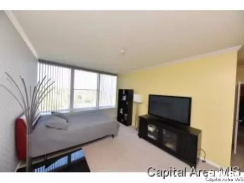 718 S 7th UNIT 904, Springfield, IL 62703 photo 2