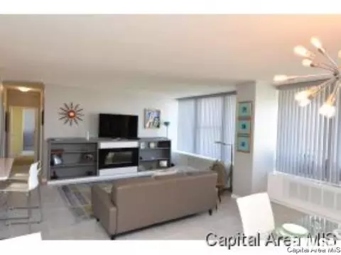 718 S 7th UNIT 904, Springfield, IL 62703 photo 3