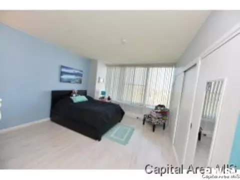 718 S 7th UNIT 904, Springfield, IL 62703 photo 9