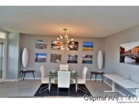 718 S 7th UNIT 904, Springfield, IL 62703 photo 5
