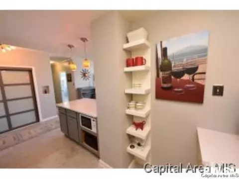 718 S 7th UNIT 904, Springfield, IL 62703 photo 7