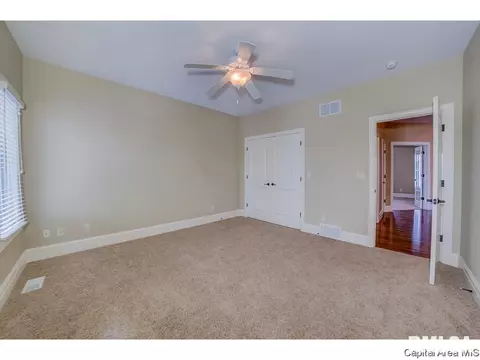 4401 Cricket Pt, Springfield, IL 62711 photo 13