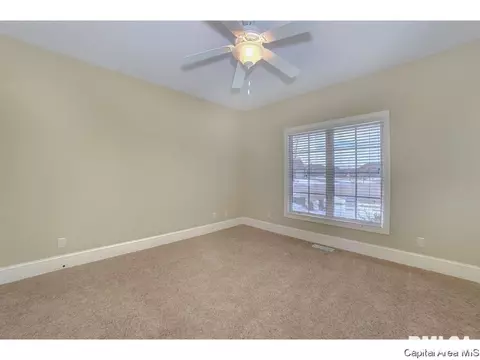 4401 Cricket Pt, Springfield, IL 62711 photo 10