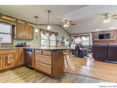 1212 Christopher Ln, Springfield, IL 62712 photo 9