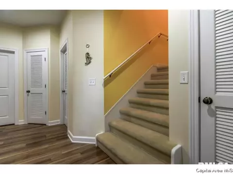 152 Maple Grv, Springfield, IL 62712 photo 23