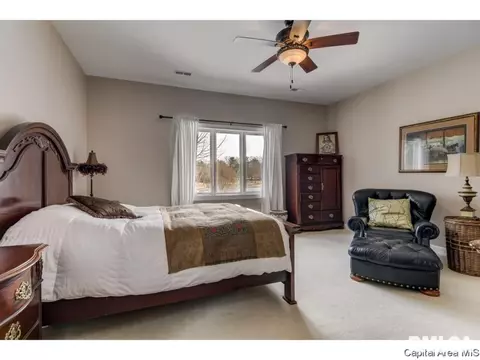 152 Maple Grv, Springfield, IL 62712 photo 20