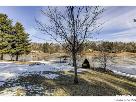 152 Maple Grv, Springfield, IL 62712 photo 27