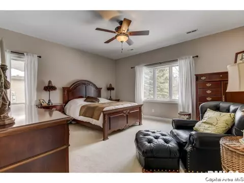 152 Maple Grv, Springfield, IL 62712 photo 21