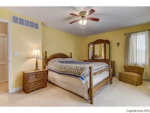152 Maple Grv, Springfield, IL 62712 photo 24