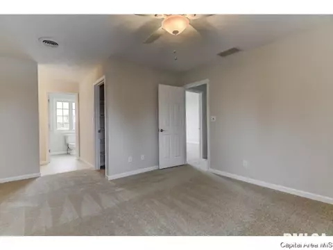 2901 Wildcat Ct, Springfield, IL 62711 photo 20
