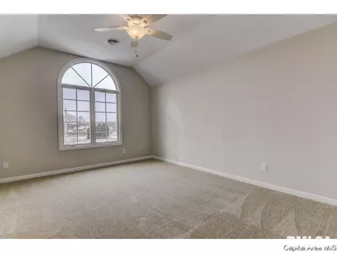 2901 Wildcat Ct, Springfield, IL 62711 photo 22