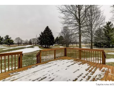 2901 Wildcat Ct, Springfield, IL 62711 photo 24