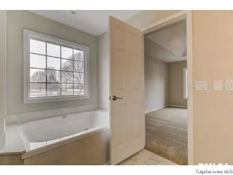 2901 Wildcat Ct, Springfield, IL 62711 photo 17