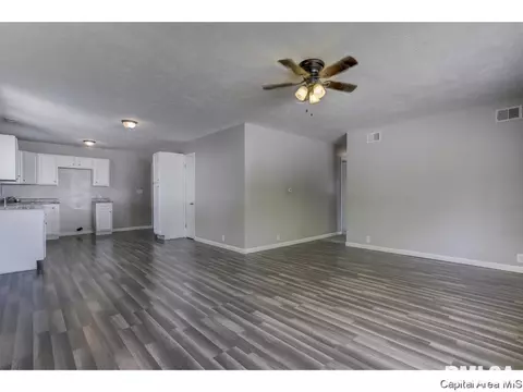 3218 Enos Ave, Springfield, IL 62702 photo 5