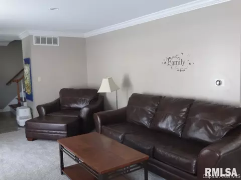 2412 Parkview Dr, Springfield, IL 62704 photo 8