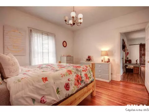 4229 Stone Ave, Springfield, IL 62707 photo 16
