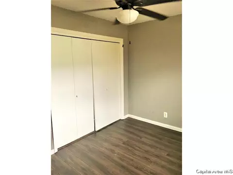 441 S Durkin Dr, Springfield, IL 62704 photo 13