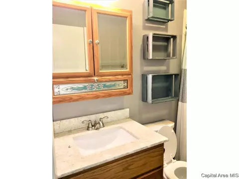 441 S Durkin Dr, Springfield, IL 62704 photo 10