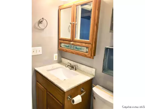 441 S Durkin Dr, Springfield, IL 62704 photo 11