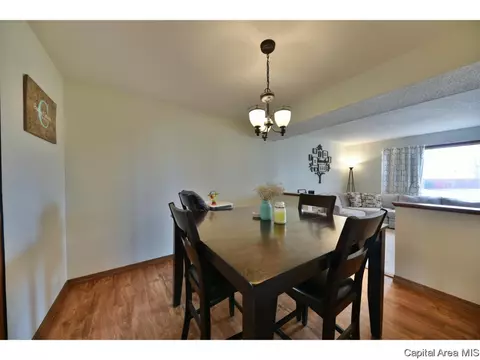 3104 Temple Dr, Springfield, IL 62704 photo 11