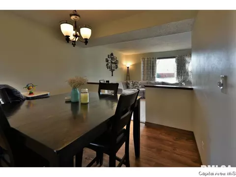 3104 Temple Dr, Springfield, IL 62704 photo 10