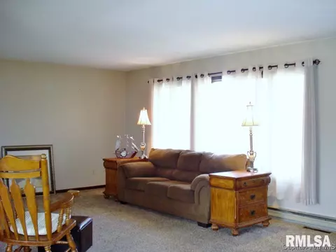 552 Matthews Ct, Oneida, IL 61467 photo 7