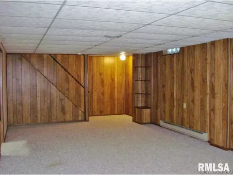552 Matthews Ct, Oneida, IL 61467 photo 24
