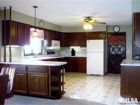 552 Matthews Ct, Oneida, IL 61467 photo 11