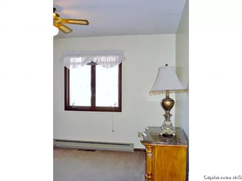 552 Matthews Ct, Oneida, IL 61467 photo 22