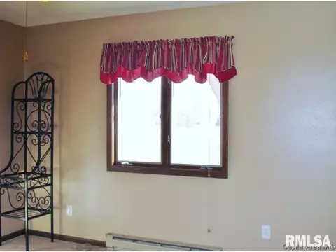 552 Matthews Ct, Oneida, IL 61467 photo 20