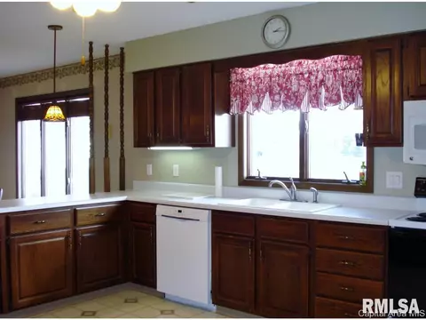 552 Matthews Ct, Oneida, IL 61467 photo 13